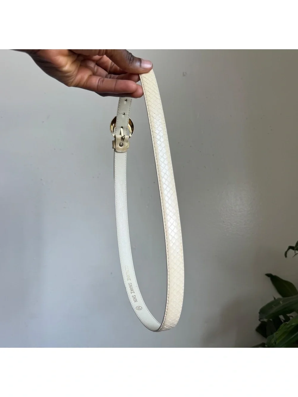 Vintage 80s DAME Genuine Snakeskin Belt Cream Ivory Gold Buckle Size M